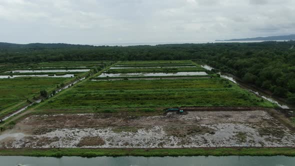 Prawn Fish Farm Aerial