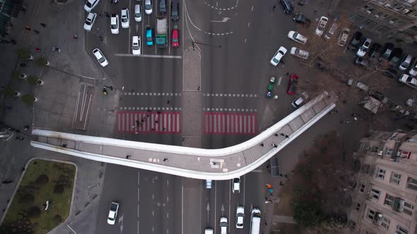 People On The Zebra And The Crossing Bridge