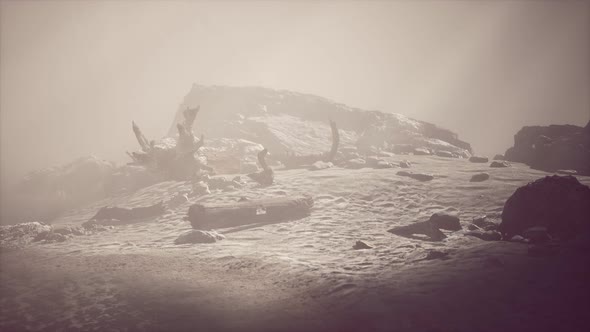 Rocky Cliff with Sand Beach in Deep Fog