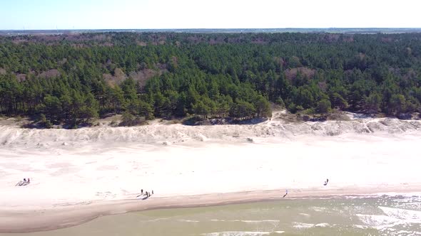 People on sandy coastline with conifer forest behind near Baltic sea coastline