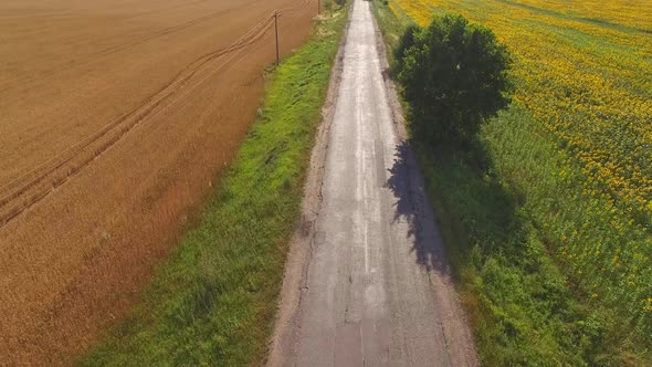 Field and Asphalt Road.