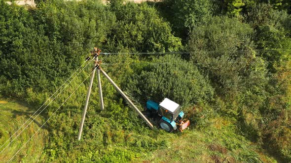 Elevated View Trees Trimming Using a Flail Hedge Cutter Attached to Blue Tractor Along the Side of