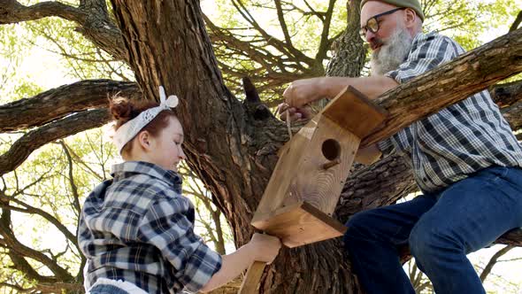 Aged Man and His Granddaughter Hanging Birdhouse on Tree