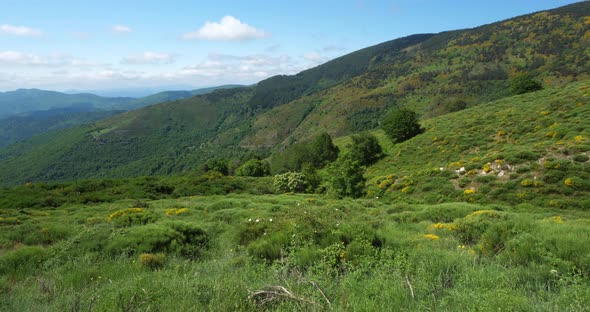 Col de la Croix de Berthel, Pont de Montvert, Mont Lozere, Lozere, France