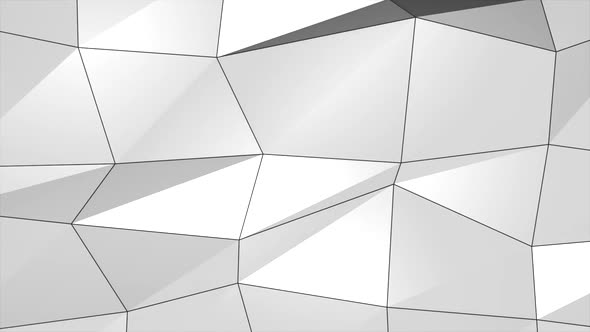 White Gray Smooth Abstract Technology  Plexus Network Science.