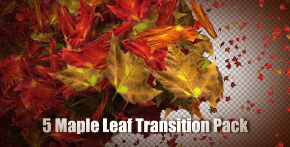 5 Maple Leaf Transition Pack alt