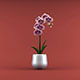 Orchid flower - 3DOcean Item for Sale
