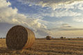 Bales of hay - PhotoDune Item for Sale