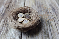 Retirement savings British pound coins in birds nest egg - PhotoDune Item for Sale