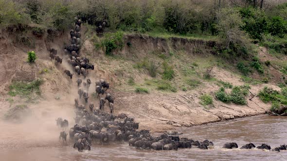The Great Wildebeest Migration in Africa