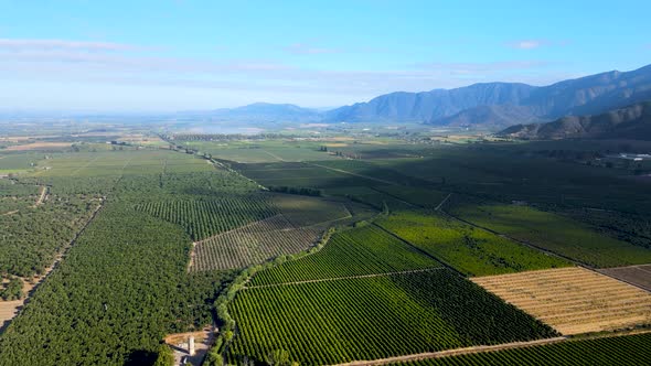 Aerial dolly in of green farm fields and tree woods, mountains in background, on a cloudy day, Cacha