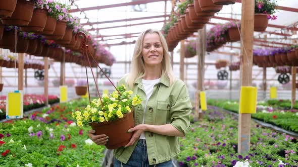 Woman gardener holding potted flowers and walking in greenhouse.