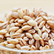 Pearl Barley Heap Rotating - VideoHive Item for Sale