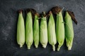 Fresh sweet golden corn on cobs on dark gray stone background - PhotoDune Item for Sale
