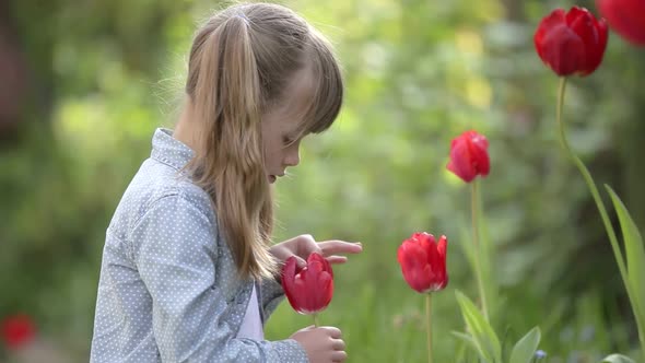 Young pretty child girl playing with a red tulip flower in summer outdoors.