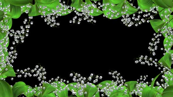 Lily Of The Valley - Blooming Flowers - Windy Frame Loop - Alpha Channel alt