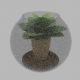 Pot plant in a bank - 3DOcean Item for Sale