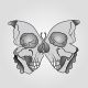 Butterfly Skull - GraphicRiver Item for Sale