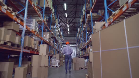 Manager at Work in Warehouse Checking Stock