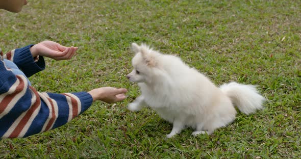 Woman Play with Her Dog at Park