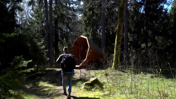 Backpacker Hiking In Forest