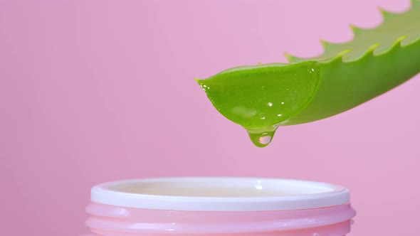 Aloe Vera Juice or Gel for Cream