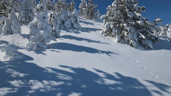 Drone View Snowflake Mountain