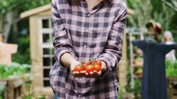 Mature woman holding tomatoes 4k