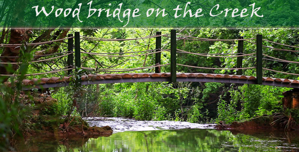 Wood Bridge On The Creek
