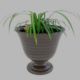 Pot plant with a bird - 3DOcean Item for Sale