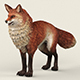 Game Ready Red Fox - 3DOcean Item for Sale