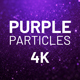 Purple Particles Background 4K - VideoHive Item for Sale