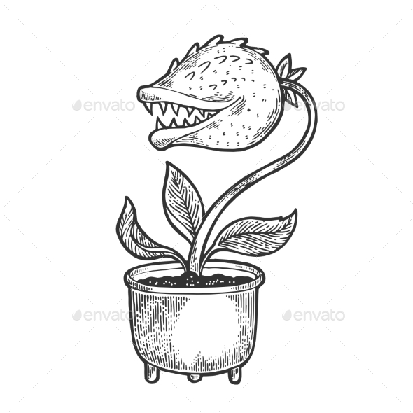 Cartoon Flower with Teeth Sketch Vector