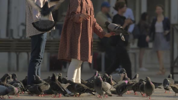 Children Feeding Pigeons