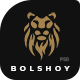 BOLSHOY - Modern PSD Template - ThemeForest Item for Sale