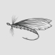 Fly Fishing Fly - GraphicRiver Item for Sale