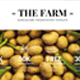 Farm-Agriculture Google Slide Template - GraphicRiver Item for Sale