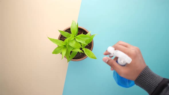 Hand Holding Spray Bottle Watering Plan on Table with Copy Space