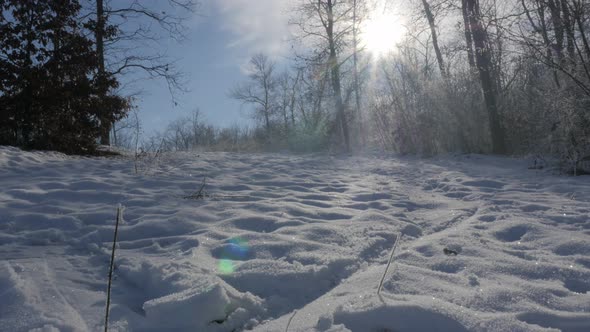 Forest on Kraljevica park hill  snowed under 4K 2160p UHD footage - Hills and trees near town of Zaj