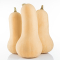 Butternut Squash Isolated - PhotoDune Item for Sale