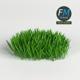 Grass Weed Module 1 - 3DOcean Item for Sale