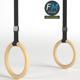Gymnastics rings - 3DOcean Item for Sale