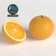 Oranges - 3DOcean Item for Sale