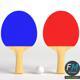 Ping pong paddles set - 3DOcean Item for Sale