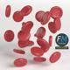 Red blood cells - 3DOcean Item for Sale