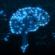 Brain Circuit Reveal Logo - VideoHive Item for Sale