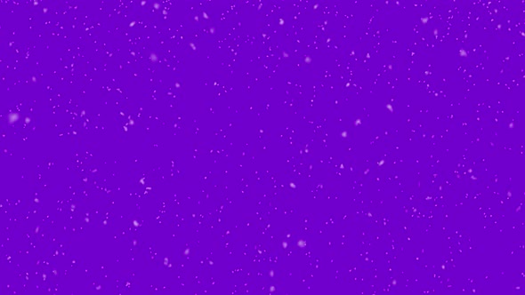 Falling Snowflakes on Violet Background Winter Snow
