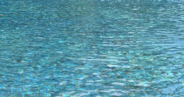 Beautiful refreshing blue swimming pool water 