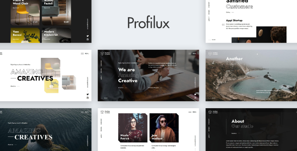 Profilux - Creative Website