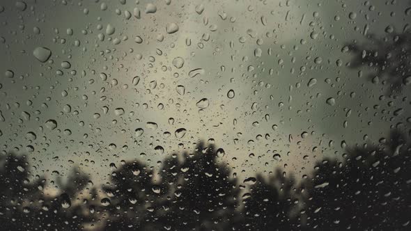 Raindrops on glass in the evening against the background of trees